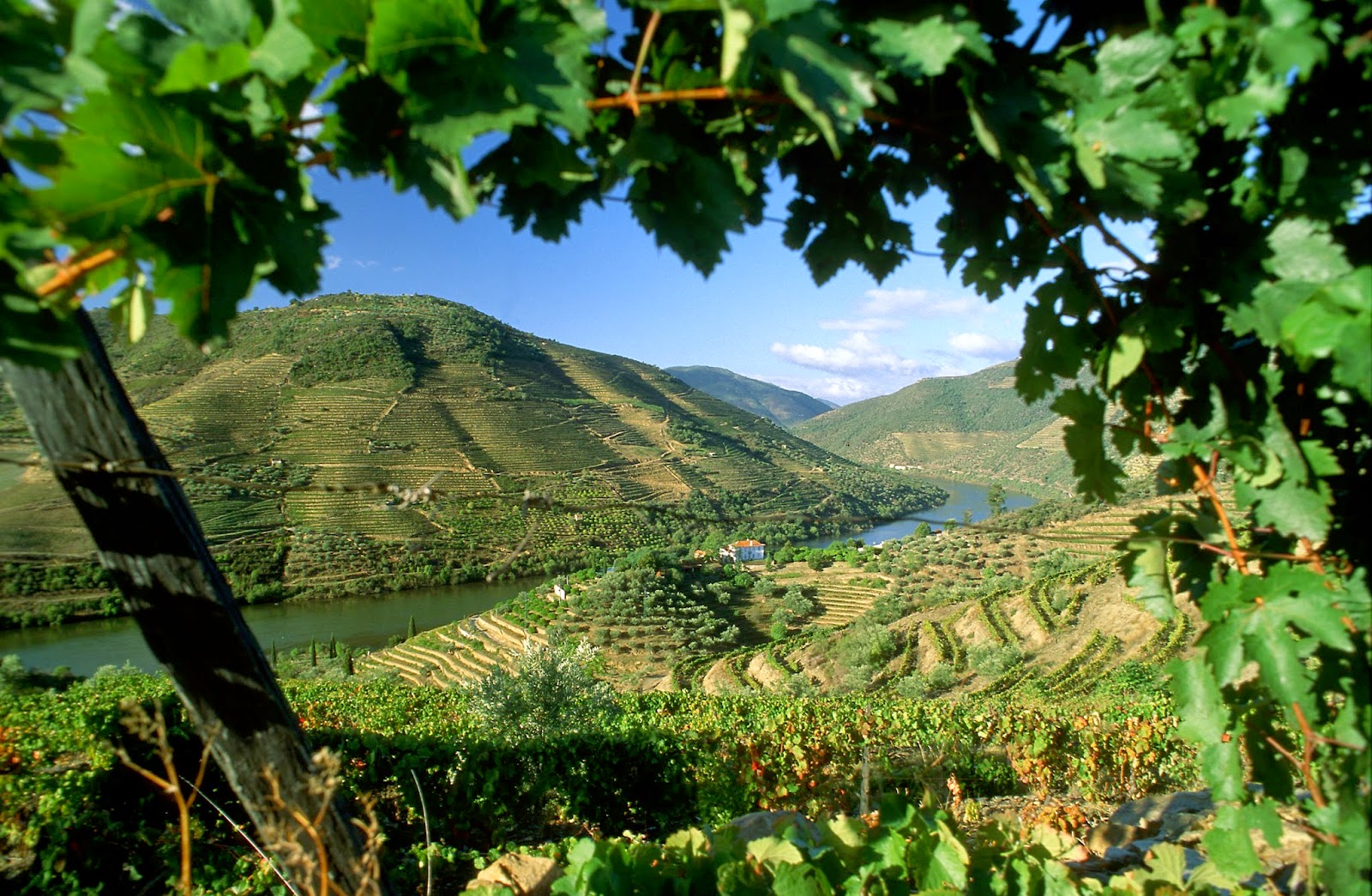20 razes pelas quais tens de conhecer o Douro 